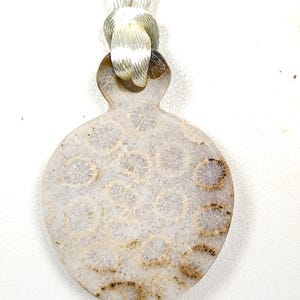 Puede incluir: Un colgante de coral fosilizado blanco y marr&oacute;n en un collar de cord&oacute;n blanco.