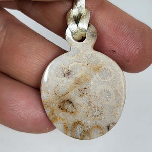 Puede incluir: Un colgante redondo blanco con un dise&ntilde;o de coral fosilizado marr&oacute;n. El colgante est&aacute; unido a un cord&oacute;n plateado.
