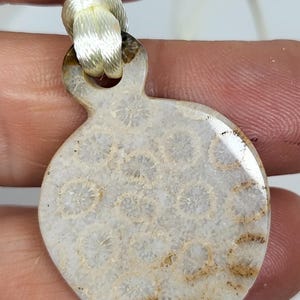 Puede incluir: Un colgante de coral fosilizado blanco y marr&oacute;n en un collar de cord&oacute;n blanco. El colgante tiene forma de l&aacute;grima y presenta un patr&oacute;n detallado de coral fosilizado.