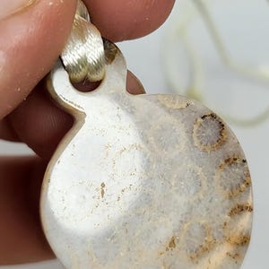 Puede incluir: Un colgante de coral fosilizado blanco y marr&oacute;n con un cord&oacute;n crema.