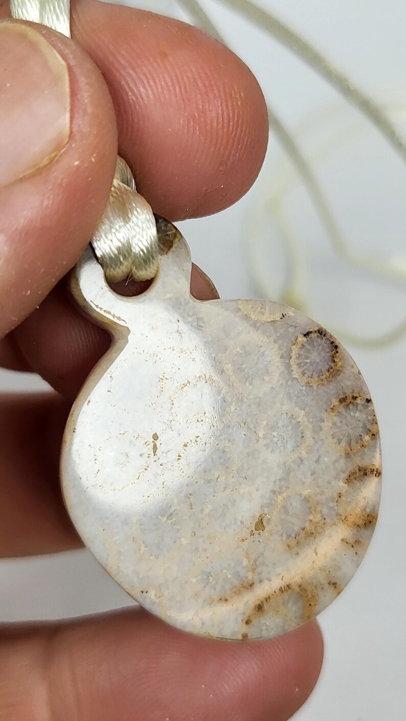 Puede incluir: Un colgante de coral fosilizado blanco y marr&oacute;n con un cord&oacute;n crema.