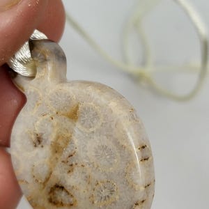 Puede incluir: Un colgante de coral fosilizado blanco y marr&oacute;n con un cord&oacute;n blanco.