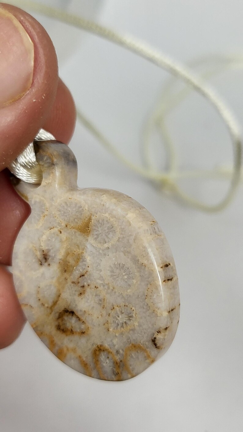 Puede incluir: Un colgante de coral fosilizado blanco y marr&oacute;n con un cord&oacute;n blanco.