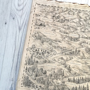Warrior Book Map, Warrior Cats Map, Theforest Territories Map, Cat View