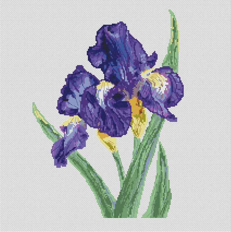 Iris cross stitch pattern PDF | Etsy
