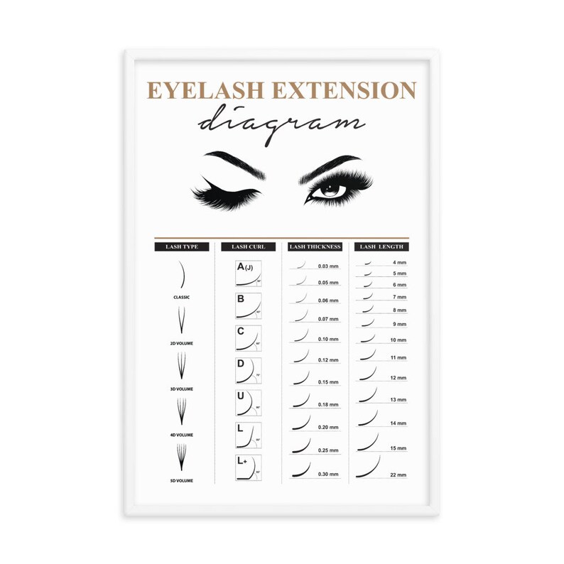 Eyelash Extension Diagram Beauty Therapist Chart Eyelash - Etsy