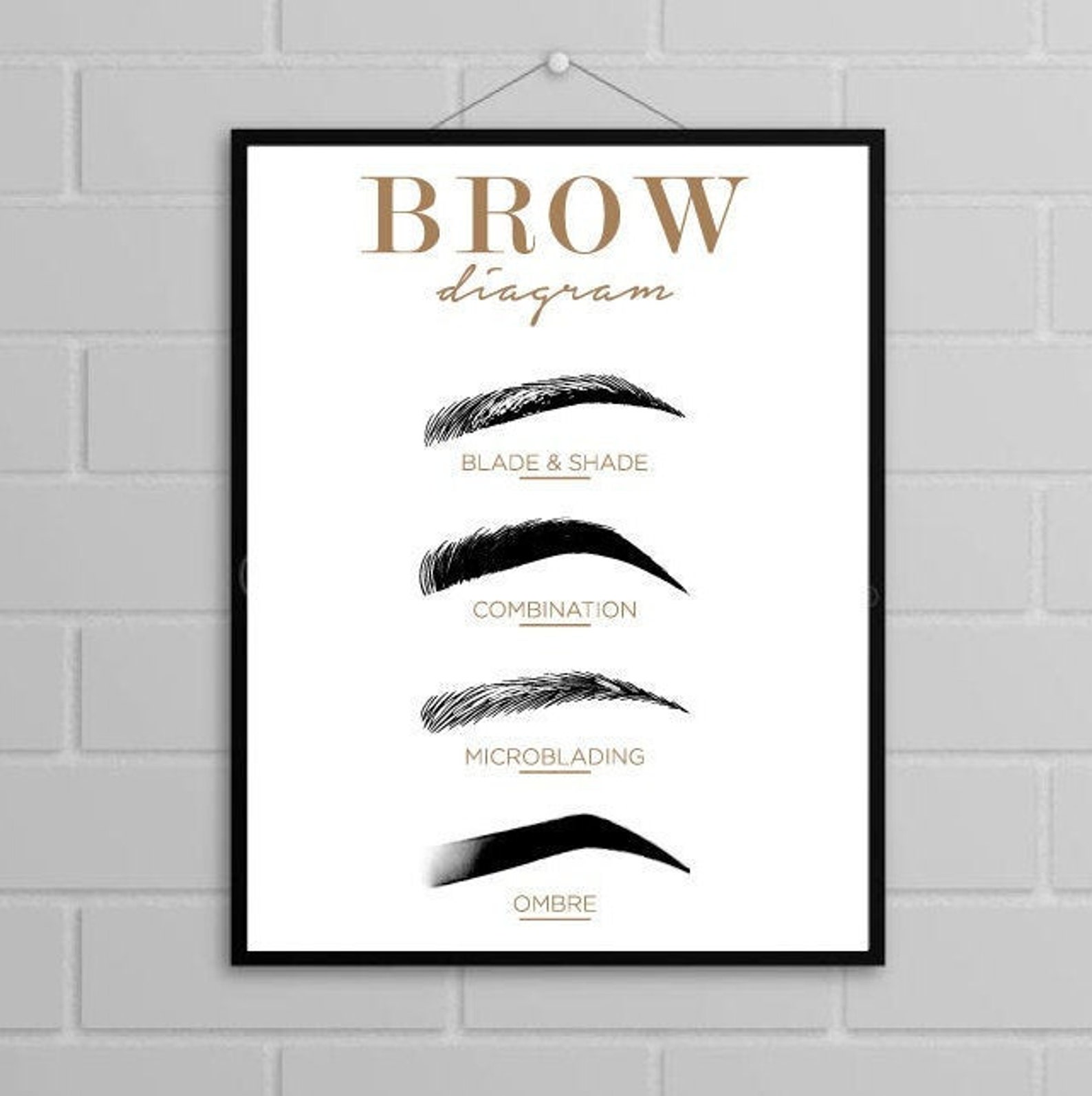 Brow Diagram Eyebrow Cheat Sheet Eyebrow Symbols Printable - Etsy UK