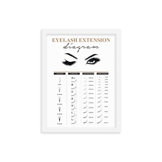 Eyelash Extension Diagram Beauty Therapist Chart Eyelash | Etsy