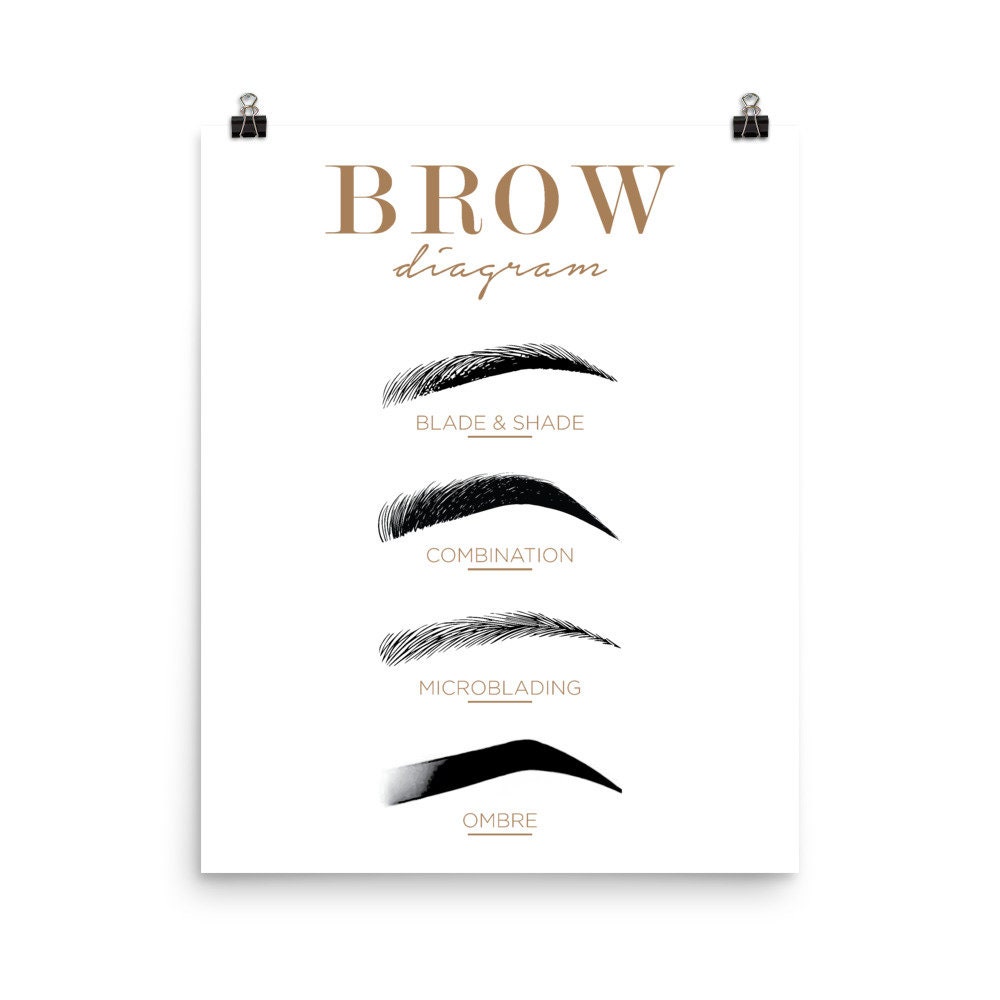 Brow Chart Poster I Microblading Chart I Eyebrow Guide I - Etsy Australia