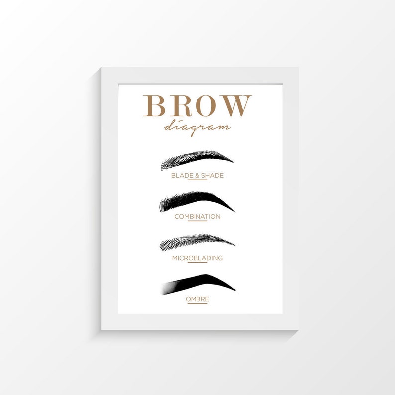 Brow Diagram Eyebrow Cheat Sheet Eyebrow Symbols Printable Etsy