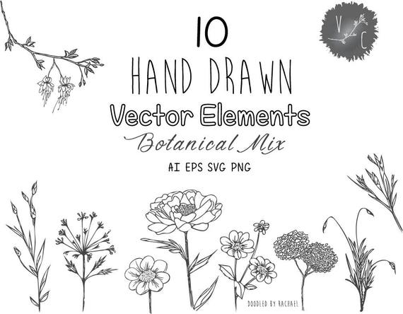 Download Cutting Files Bouquet Svg Bundle Floral Svg Botanical Clipart 10 Hand Drawn Floral Line Art Designs Svg Png Wildflowers Svg Svg Files Clip Art Art Collectibles Supermamalab Com