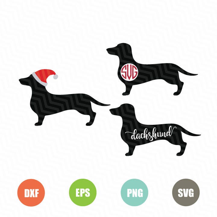 Dachshund Christmas Svg - SVG Funny Christmas Winter Dachshund through