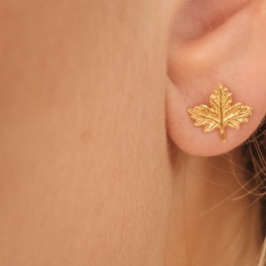 Gold Ahornblatt Ohrringe, Herbst Schmuck, zierliche Herbst Blatt Ohrstecker, Gold Ohrstecker, Herbst Ohrringe, Gold Herbst Blatt Schmuck, Geschenk für sie