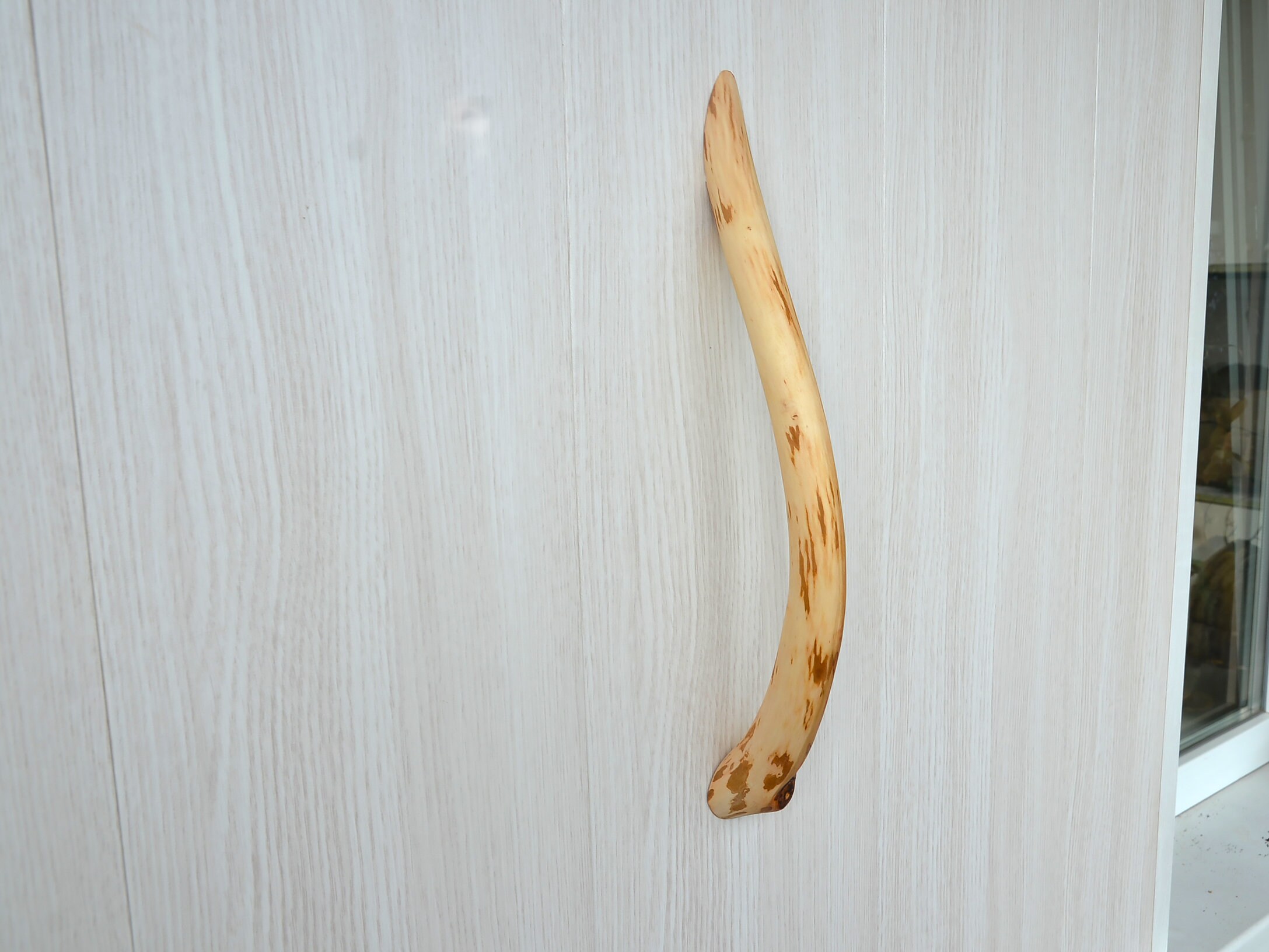 Tree Branch door handle Solid natural wood door pull Etsy