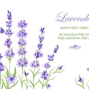 Watercolor lavender clipart, Purple flowers PNG for invitations, Provence wedding floral clipart, Digital Download