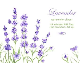 Watercolor lavender clipart, Purple flowers PNG for invitations, Provence wedding floral clipart, Digital Download
