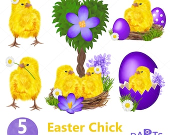 Easter chick clipart, Cute chick clipart, Spring clipart, Easter sublimation designs, Baby chick PNG, Easter illustrations