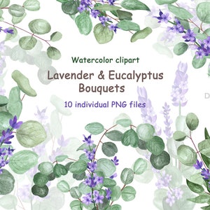Watercolor Eucalyptus Lavender clipart, Greenery clipart, Floral clipart, Eucalyptus bouquet Individual PNG elements, Rustic wedding clipart