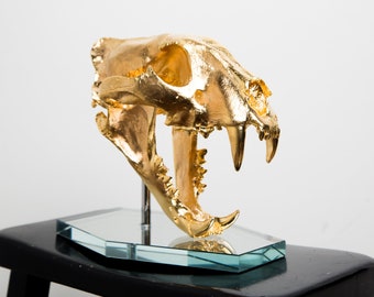 Gold-Plated Solid Bronze Cast Lion Skull