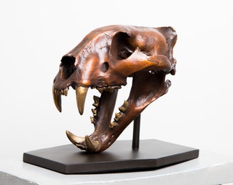Solid Bronze Cast Lion Skull