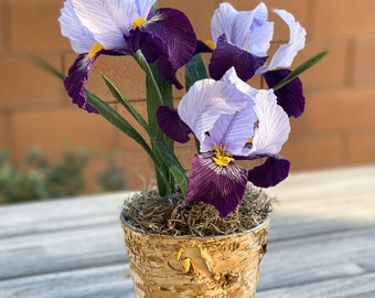 Crepe Paper Iris Potted Plant: Handmade Floral Home Decor