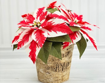 Crepe Paper Poinsettia Plant: Red & White Holiday Decor