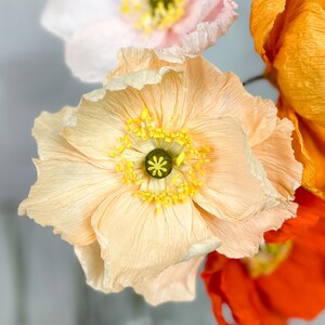 K&ouml;nnte beinhalten: Nahaufnahme einer zarten pfirsichfarbenen Papiermohnblume mit gelber Mitte. Die Blume hat eine gekr&auml;uselte Textur und ist aus Seidenpapier gefertigt.