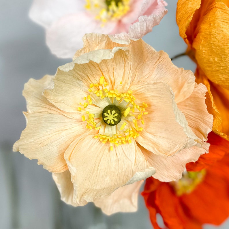 K&ouml;nnte beinhalten: Nahaufnahme einer zarten pfirsichfarbenen Papiermohnblume mit gelber Mitte. Die Blume hat eine gekr&auml;uselte Textur und ist aus Seidenpapier gefertigt.