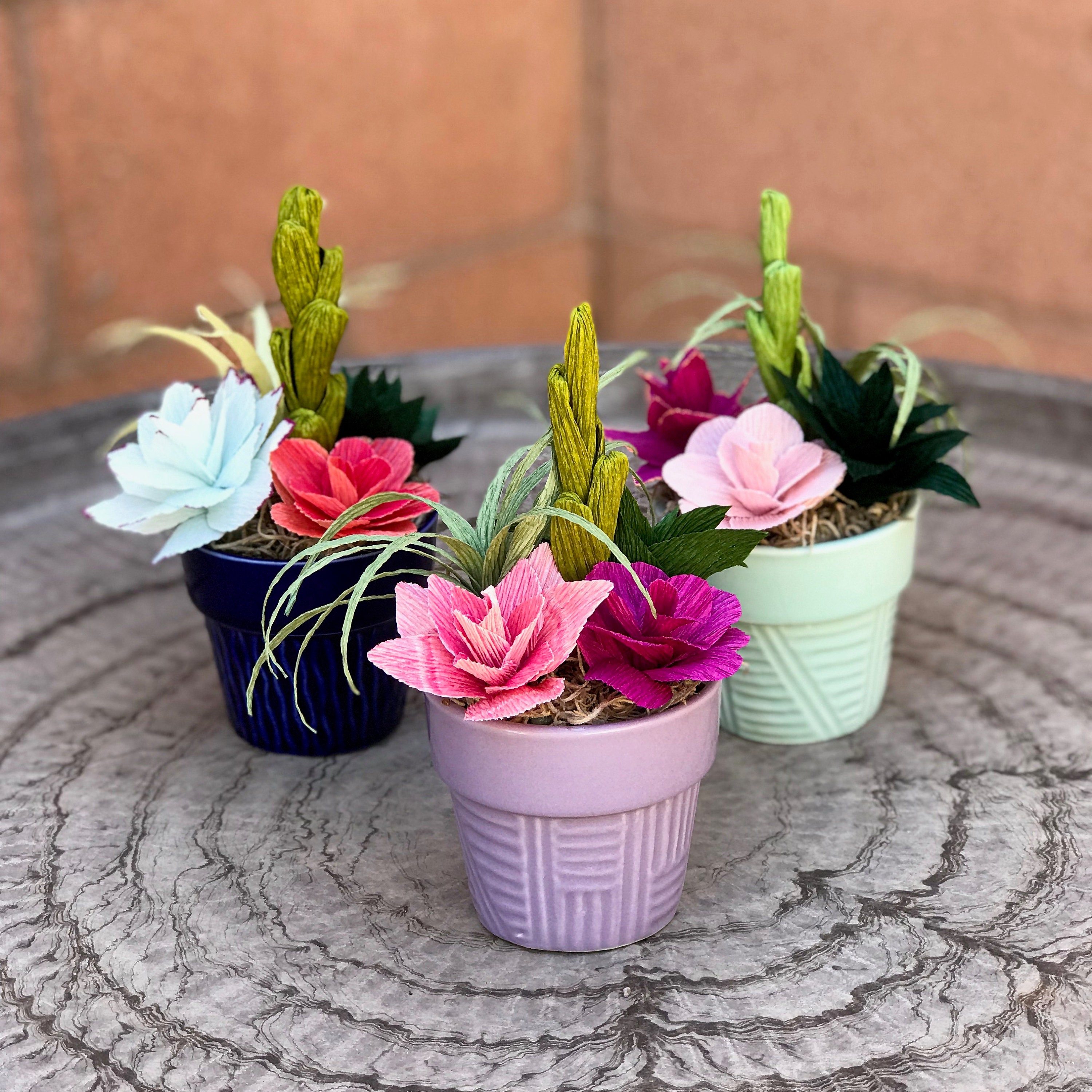 Potted Crepe Paper Succulents Personalize Your Colors Etsy