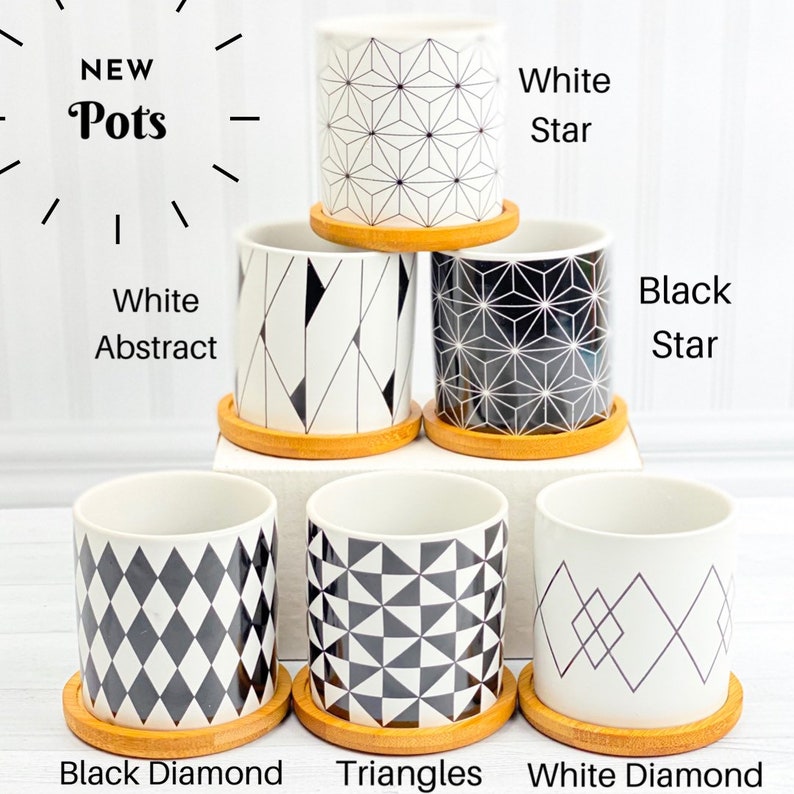 May include: Six different ceramic pots with geometric patterns in black and white. The pots are arranged in a pyramid shape with the top pot being a white star pattern, the second row has a white abstract pattern on the left and a black star pattern on the right, and the bottom row has a black diamond pattern on the left, a triangle pattern in the middle, and a white diamond pattern on the right.