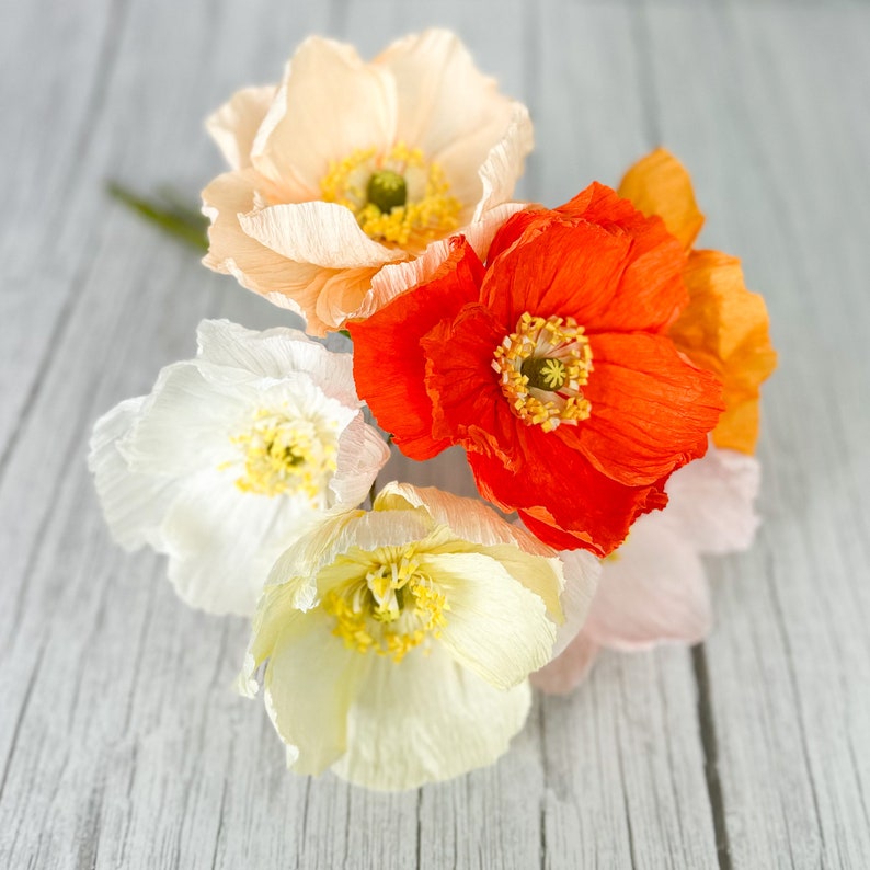 K&ouml;nnte beinhalten: Ein Strau&szlig; aus Papierblumen in Wei&szlig;-, Pfirsich- und Oranget&ouml;nen. Die Blumen sind in einer Gruppe angeordnet, wobei die orangefarbene Blume in der Mitte liegt.
