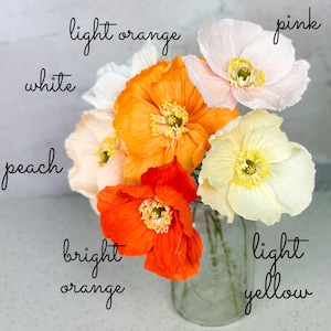 K&ouml;nnte beinhalten: Ein Strau&szlig; Papierblumen in einem Glasgef&auml;&szlig;. Die Blumen sind in den Farben Rosa, Pfirsich, Wei&szlig;, Hellorange, Leuchtorange und Hellgelb. Die Blumen sind mit ihren Farben beschriftet.