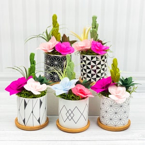 May include: Five white ceramic planters with black geometric patterns, each filled with a different arrangement of paper flowers. The flowers are pink, blue, and white.
