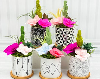 Handmade Potted Succulents, Gift for Teacher, Office Decor, Personalize Your Colors