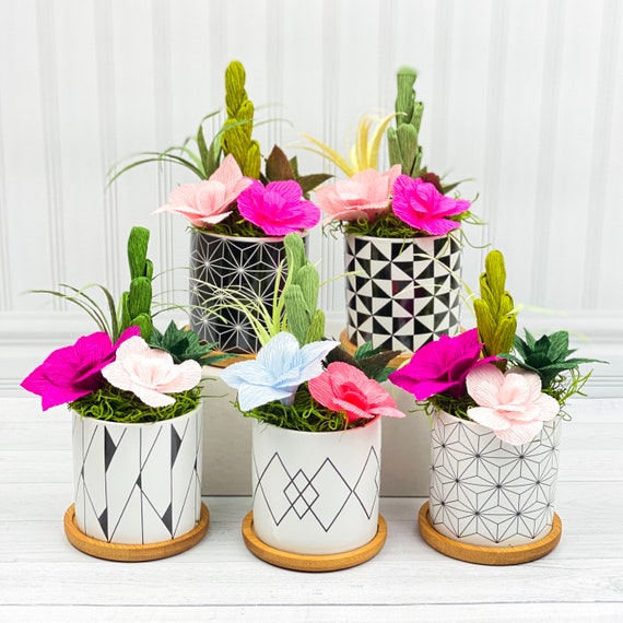 Handmade Potted Succulents, Gift for Teacher, Office Decor, Personalize Your Colors