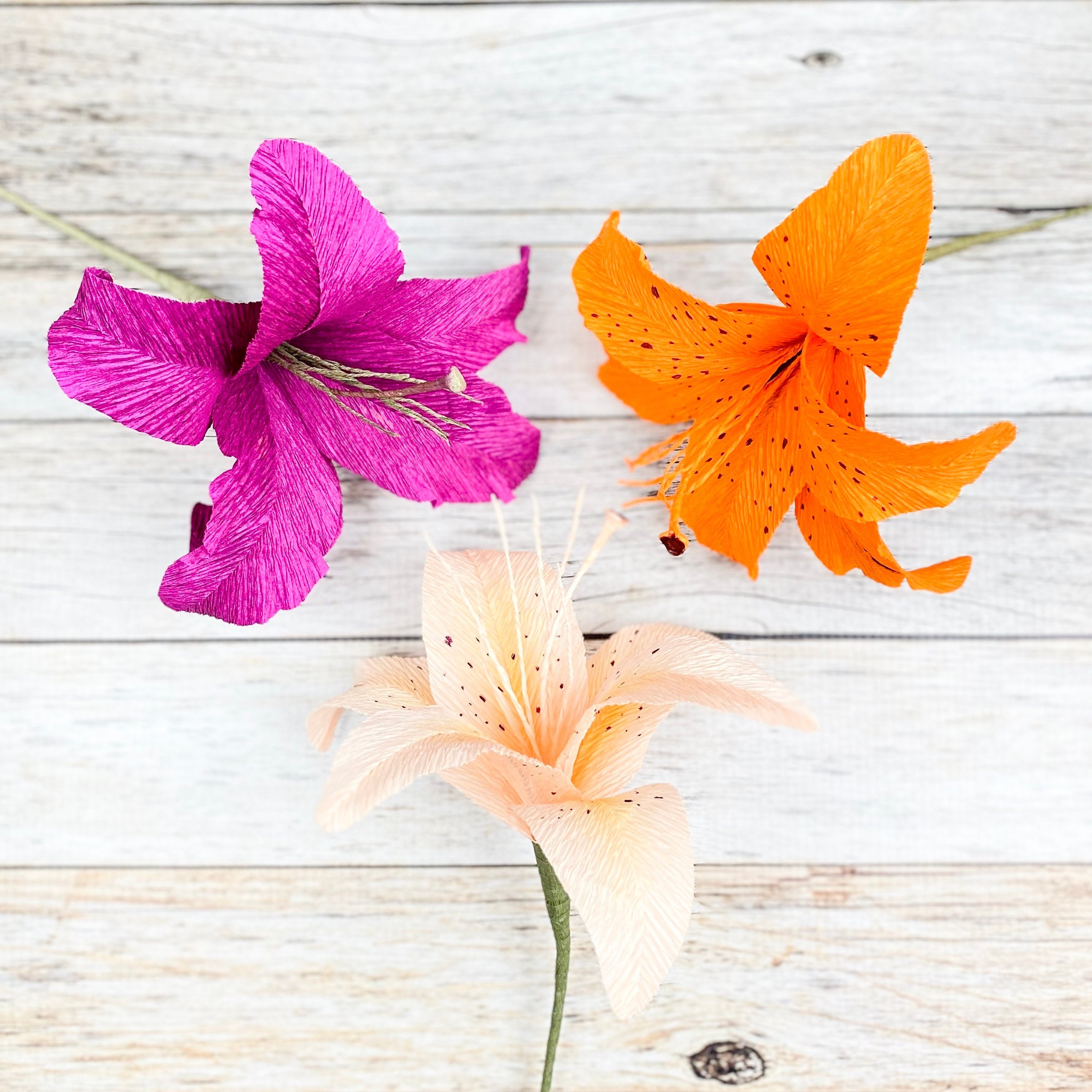 lily_Sa出品！ il_fullxfull.3855478023_99cn.jpg
