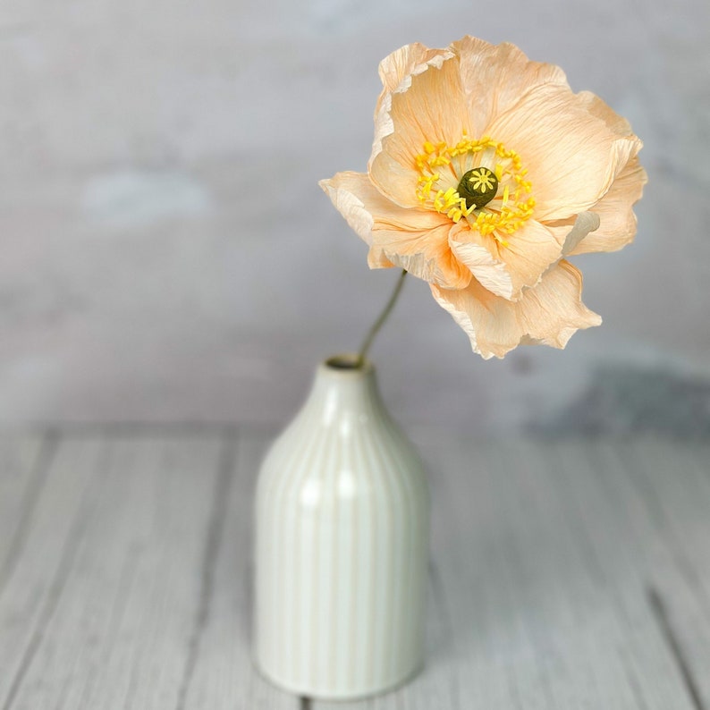single poppy stem