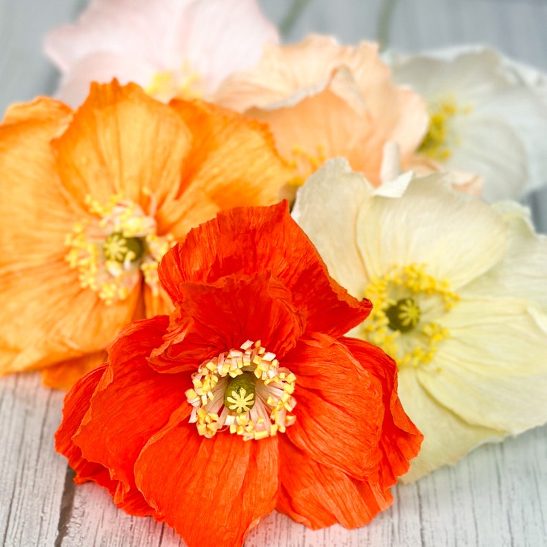 K&ouml;nnte beinhalten: Ein Strau&szlig; Papierblumen in den Farben Rosa, Orange und Wei&szlig;. Die Blumen sind aus Krepppapier gefertigt und haben eine zarte, gekr&auml;uselte Textur.