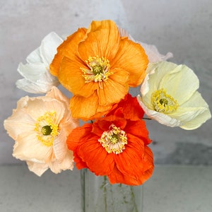 K&ouml;nnte beinhalten: Ein Strau&szlig; aus f&uuml;nf Papierblumen in Orange-, Pfirsich- und Wei&szlig;t&ouml;nen. Die Blumen sind in einer Vase arrangiert und haben eine zarte, gekr&auml;uselte Textur.
