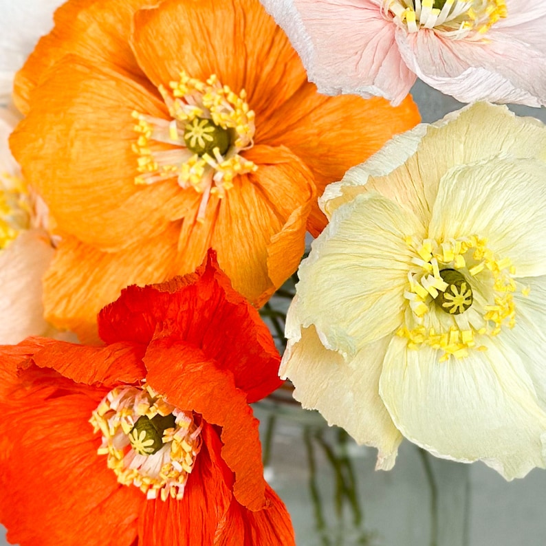 K&ouml;nnte beinhalten: Nahaufnahme von f&uuml;nf Papierblumen in verschiedenen Farben, darunter Orange, Rosa, Wei&szlig; und Rot. Die Blumen sind in einer Vase angeordnet und haben eine zarte, geschichtete Textur.