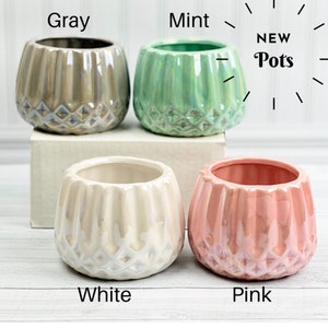 May include: Four ceramic succulent pots in gray, mint green, white, and pink. The pots have a textured, ribbed design and a diamond pattern at the bottom. The text "NEW Pots" is written in black on a white background.