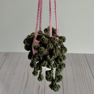 May include: A handmade crochet hanging planter with a green plant and pink hanging cords. The plant has a textured, cascading appearance. The planter is suspended against a neutral background, showcasing the craft and design.
