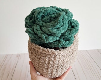 Succulent Plant Plushie - Large, Crochet Stuffed Plant