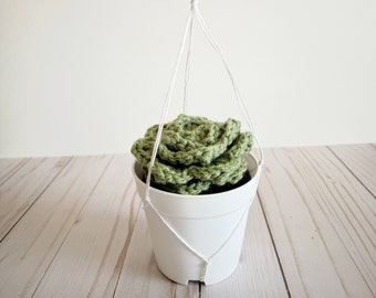 Succulent Crochet Plant - Large, Crochet Hanging Plant, Hanging Plant for House