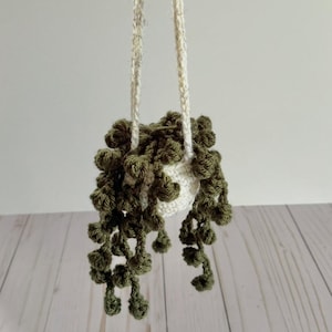 May include: A handmade crochet hanging planter with a white pot and trailing green plant. The planter is suspended by two off-white cords. The plant has a textured, cascading appearance, adding a touch of nature to any space.