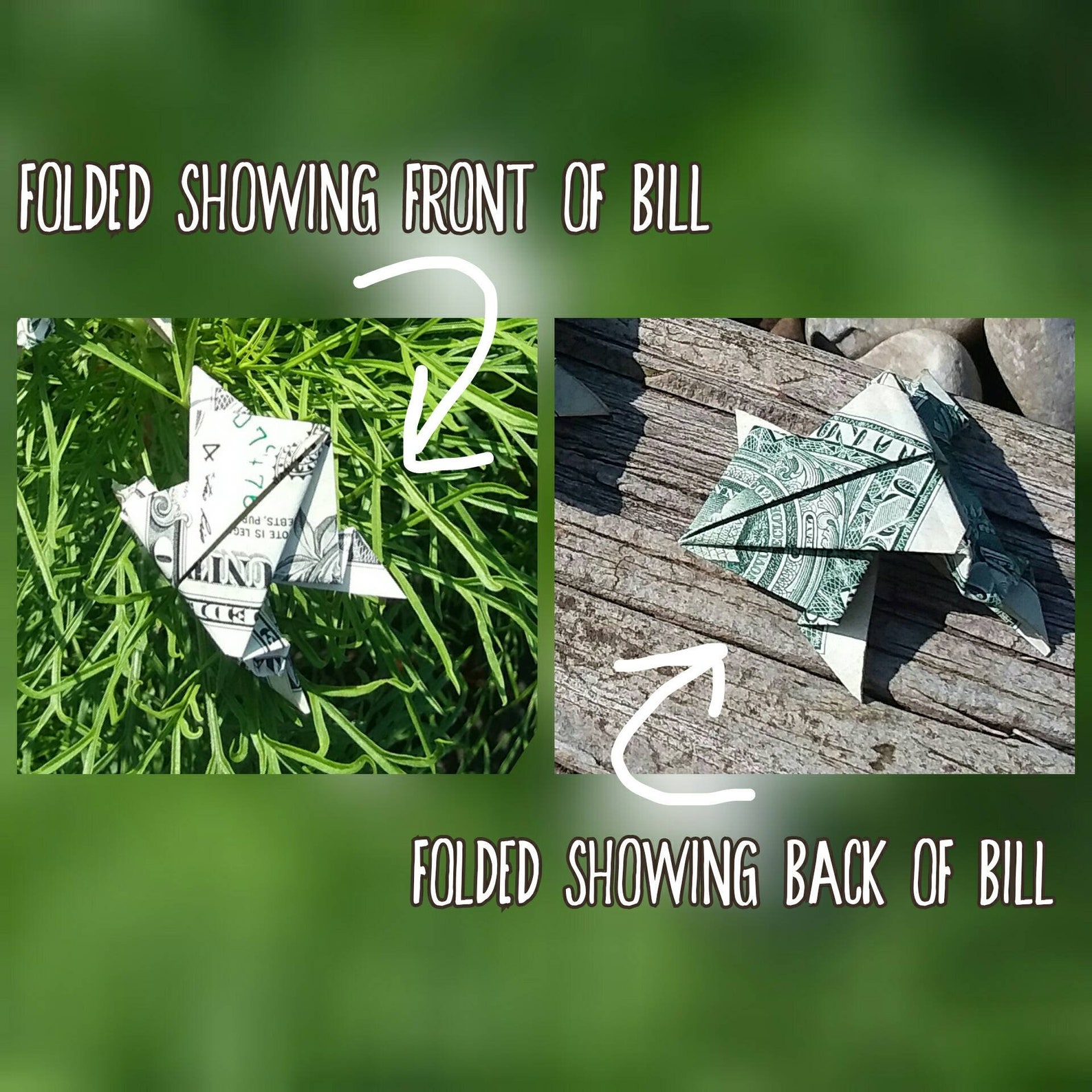 Money Origami Dollar Bill Jumping Frogs SET OF 3. Unique Etsy