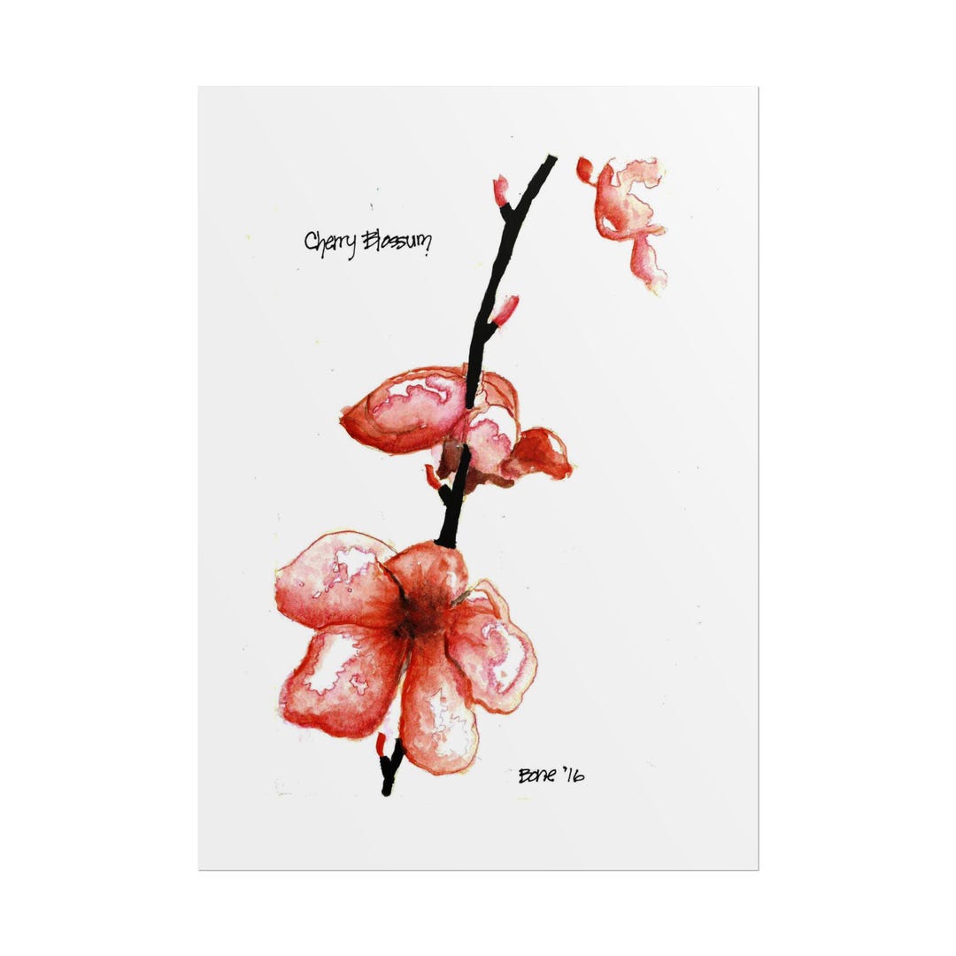 Cherry Blossom Watercolor Rolled Poster | Floral Wall Art - Etsy