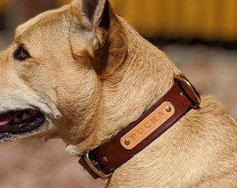 Gepersonaliseerde leren halsband | Naamplaatje | Volgraan | Messing | Op maat gemonteerd