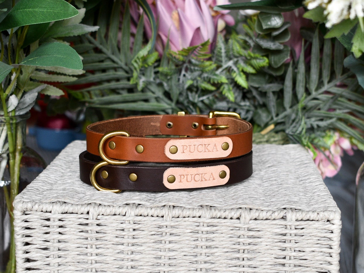 Personalised Leather Dog Collar Name Plate Full Grain Etsy