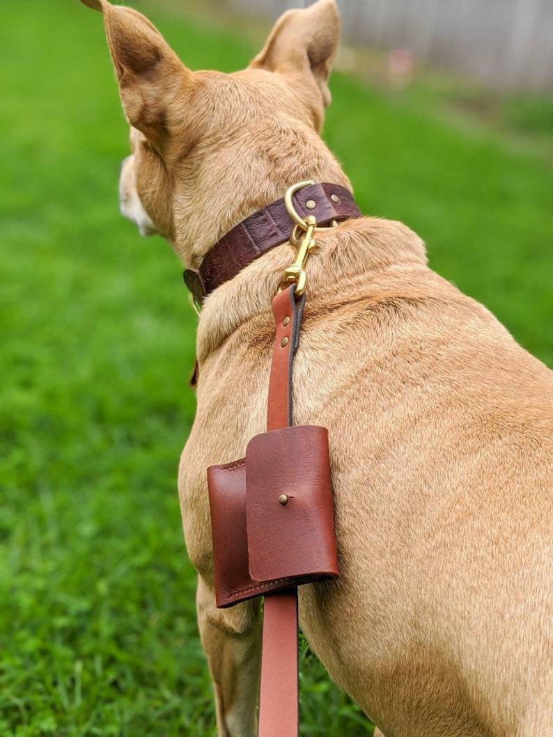 Brown Leather Two Dogs Set Pack Leash Collar Bag Name Tag Splitter Matching Gift